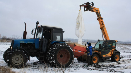 В 2015 году воронежские сельхозпроизводители получат продукции на 150 млрд руб