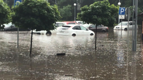 Владельцы затопленных в воронежском парке машин объявили поиск коллег по несчастью