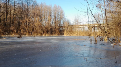 Под Воронежем на реке Ведуга под лед провалился 7-летний мальчик