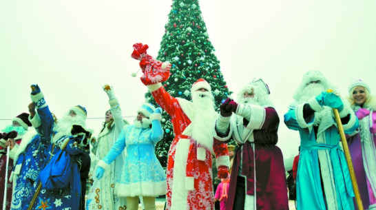 Сколько стоит Дед Мороз и его внучка