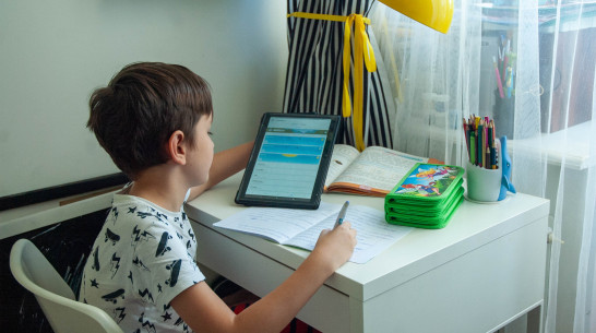 Воронежских школьников 5-8 и 10 классов переведут на дистант с 11 октября