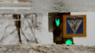 Воронежская полиция разберется в ДТП с маршруткой и девушкой-пешеходом