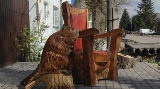 Царский трон и бобр из дерева появились в центре Боброва