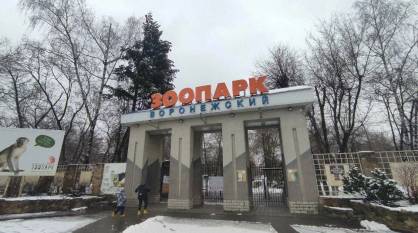 Воронежский зоопарк 15 апреля перейдет на летний режим работы