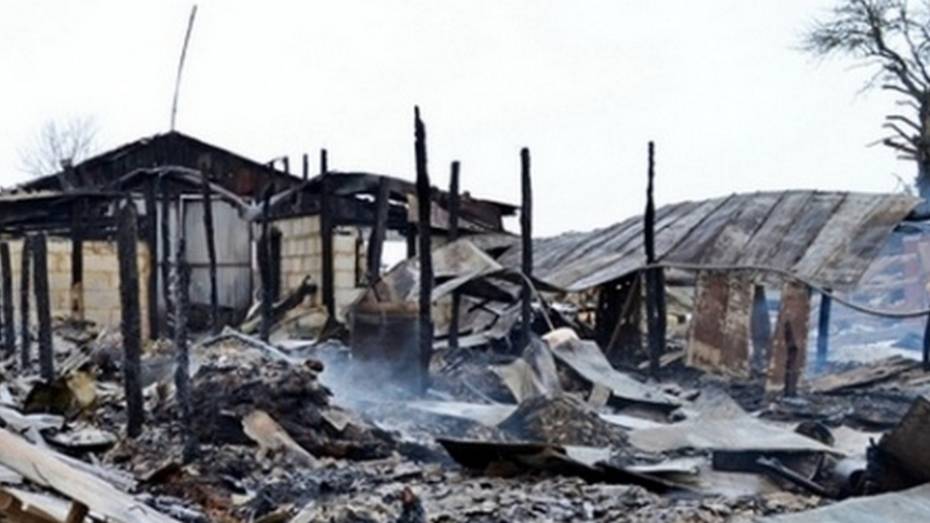 В Каширском районе при пожаре сгорели 3 коровы и 2 теленка
