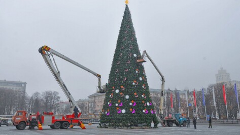 Власти Воронежа оценили главную новогоднюю елку в 1,5 млн рублей