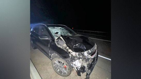В Воронежской области водитель Belgee X50 сбил насмерть пешехода