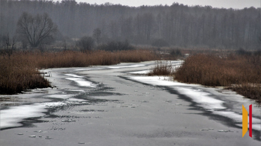 В Воронежской области в реке Усманка утонул 9-летний ребенок