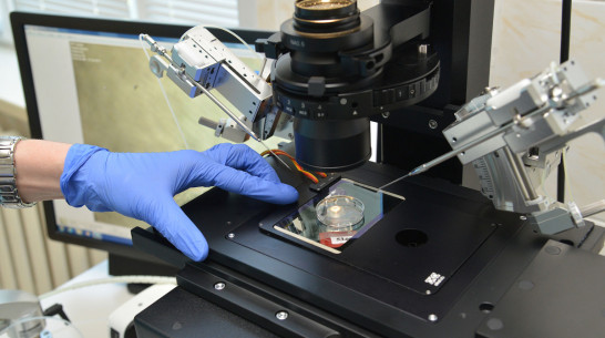 За полгода бесплатной процедурой ЭКО воспользовались более 1,1 тыс воронежских женщин