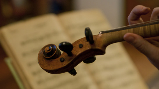 Воронежцы взяли три приза на молодежных Дельфийских играх