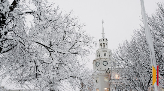 В Воронеже 31 декабря резко похолодает