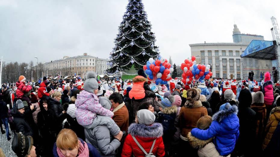 В Воронеже перевозчикам рекомендовали продлить работу маршруток в новогоднюю ночь