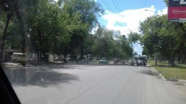 В Воронеже на улице Хользунова дерево упало на троллейбусные провода