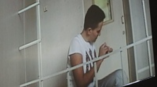 Защита Савченко в Воронеже поработала на общественное мнение