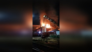 Пожар в цехе по ремонту электровозов попал на видео в Воронежской области