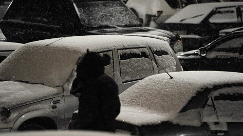 В Воронеже к концу недели похолодает до -10 градусов