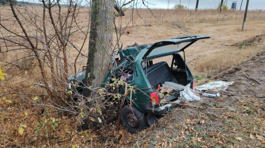 Труп пенсионера достали из разбитой «Нивы» в Воронежской области