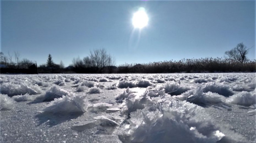 Морозы до -11 градусов ожидаются в Воронеже на новой рабочей неделе