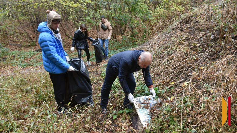 Общегородской субботник пройдет в Воронеже 11 октября