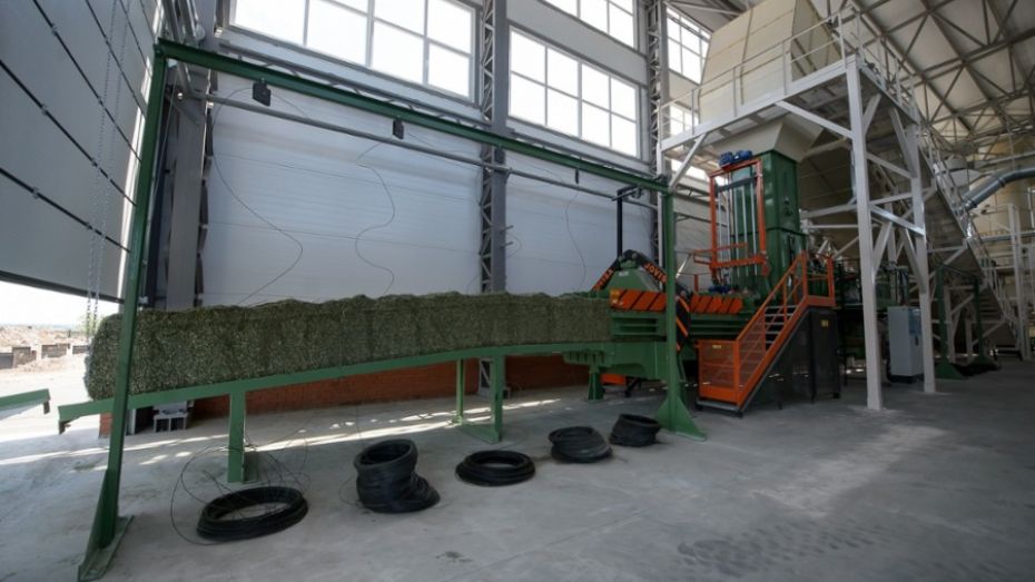 В Воронежской области заработал завод по сушке люцерны