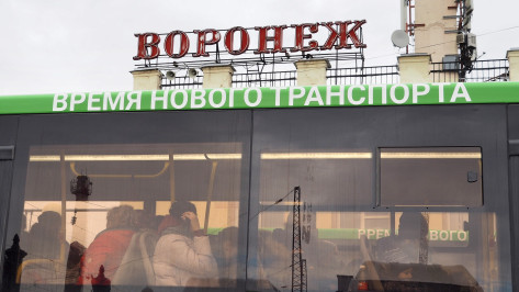 В Воронеже начнут проектировать инфраструктуру для метробуса