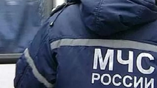 В Нижнедевицком районе сгорел мужчина