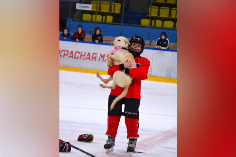 тренировка со щенками