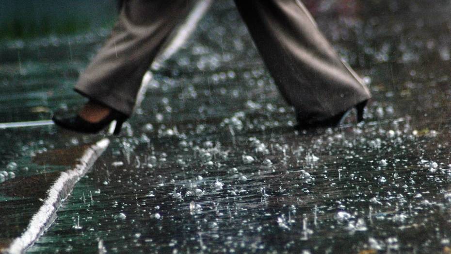 Метеорологи спрогнозировали прохладную и дождливую рабочую неделю в Воронеже