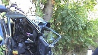 В Воронеже на Ленинском проспекте «ВАЗ» врезался в дерево: два парня ранены