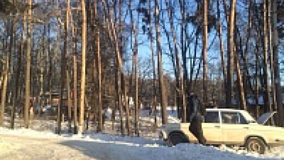 Вчера на скользких дорогах Воронежской области произошло 193 аварии