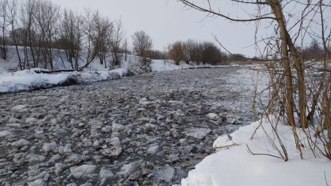 Экологи рассказали о ходе расчистки реки Савала в Воронежской области