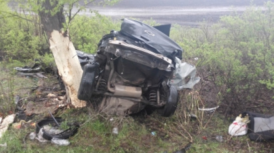 В Воронежской области Chevrole столкнулся с деревом: погибли двое