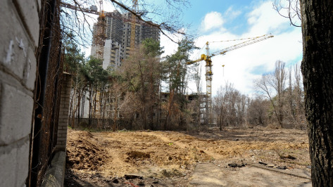 Строительство ледового дворца в Воронеже начнут в 2018 году