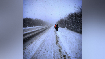 Воронежские волонтеры поделились новыми подробностями поиска 88-летней женщины