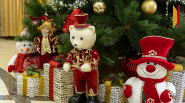 Зампреды облправительства исполнят мечты юных воронежцев в рамках акции «Елка желаний»