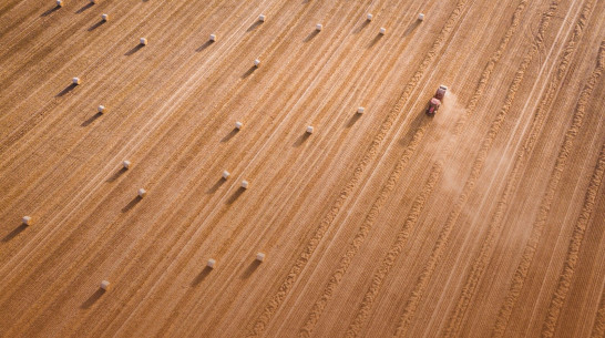 Воронежская история успеха. От студенческого стартапа до прибыли 1 млн $ в год