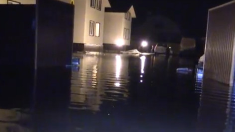 Спасатели опубликовали видео последствий паводка под Воронежем