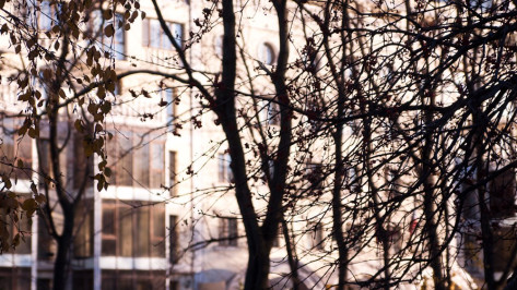 Гид РИА «Воронеж»: куда сходить на выходные 28 и 29 октября