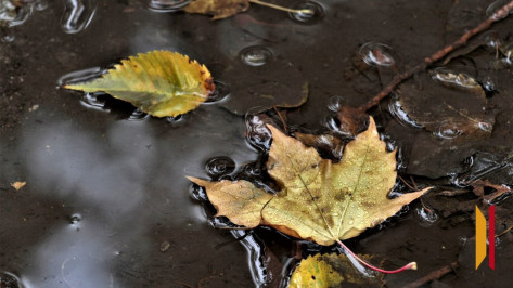 Циклон «Барбара» принесет в Воронежскую область 10-дневные дожди