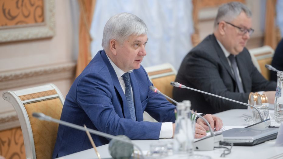 Губернатор Александр Гусев начал поиск инвесторов для развития гандбола в Воронежской области