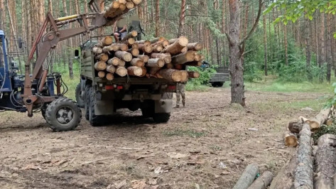 Из Лисок в зону СВО передали 2 партии гуманитарного груза за день