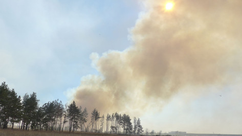 Число районов с высокой пожароопасностью выросло до 12 в Воронежской области