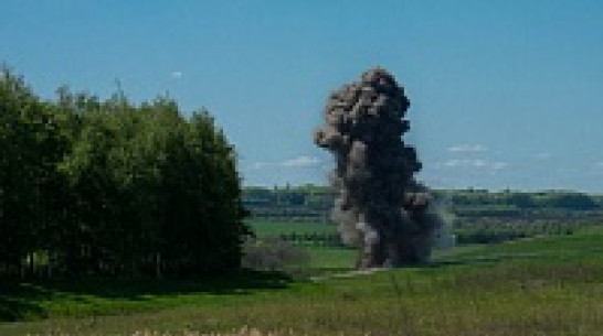 В Острогожском районе уничтожено более трехсот снарядов 