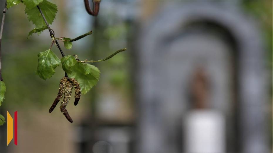 В Воронежской области похолодает до -1 градуса 20 апреля