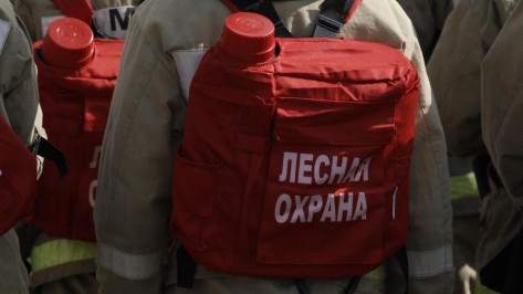 Губернатор Александр Гусев поручил продлить противопожарный режим в Воронежской области