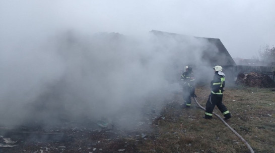 Тела двух мужчин нашли на месте пожара в Воронежской области