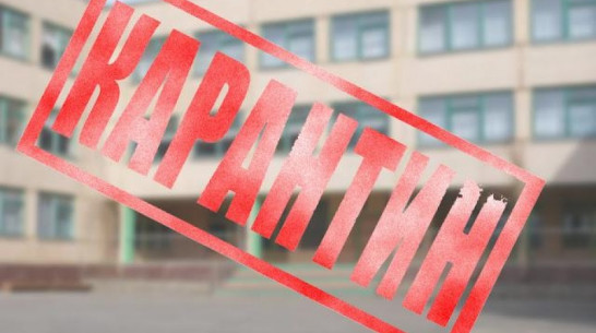 В Новоусманском районе на карантин полностью закрыли 2 школы