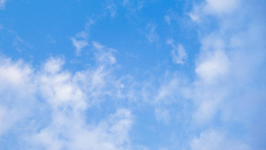 Опасность атаки БПЛА объявили в Воронежской области днем 1 сентября