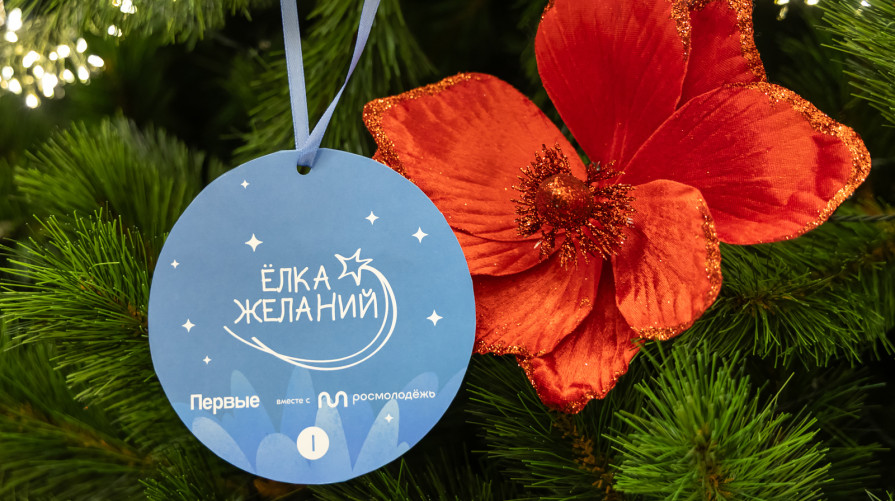 Воронежские министры исполнили детские мечты в рамках акции «Елка желаний»