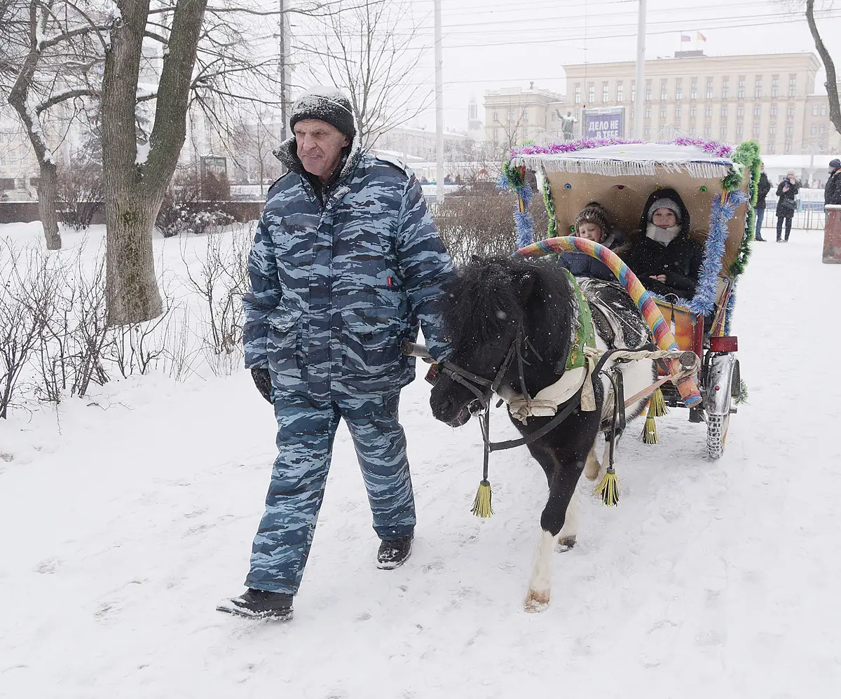 Ход конем. Династия Богушевых более 50 лет катает воронежских детей на  лошадях в новогодние праздники